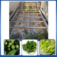 Fruit and vegetable cleaning processing equipment automatic production line spot vegetable cleaning machine